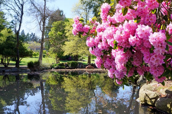 Point Defiance Park