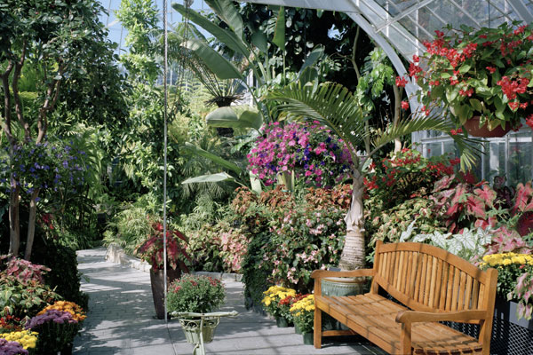 Seymour Botanical Conservatory