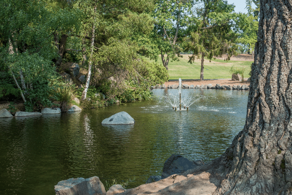 Pond at Point Defiance