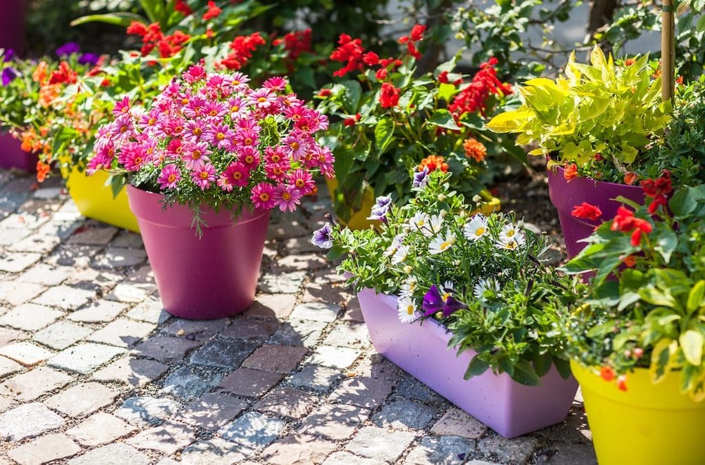 Container gardening