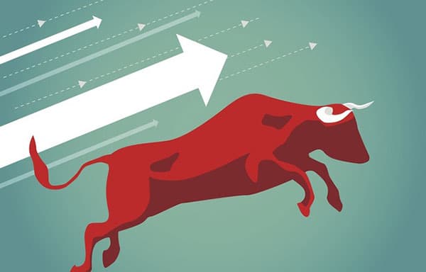 Bull Market graphic