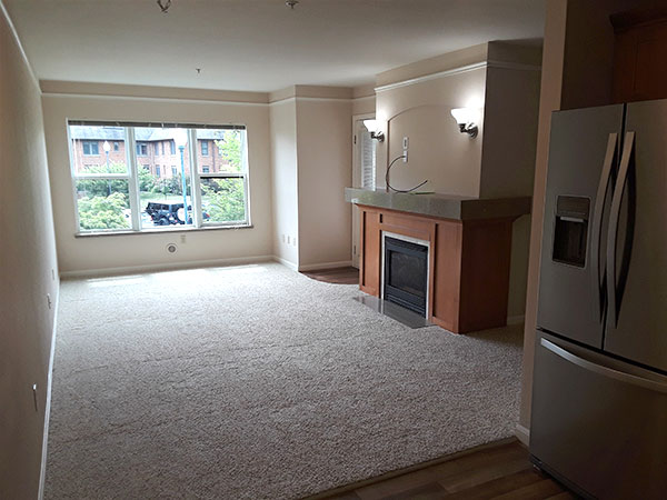 Apartment Living Room