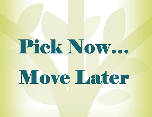 Pick Now...Move Later Program graphic