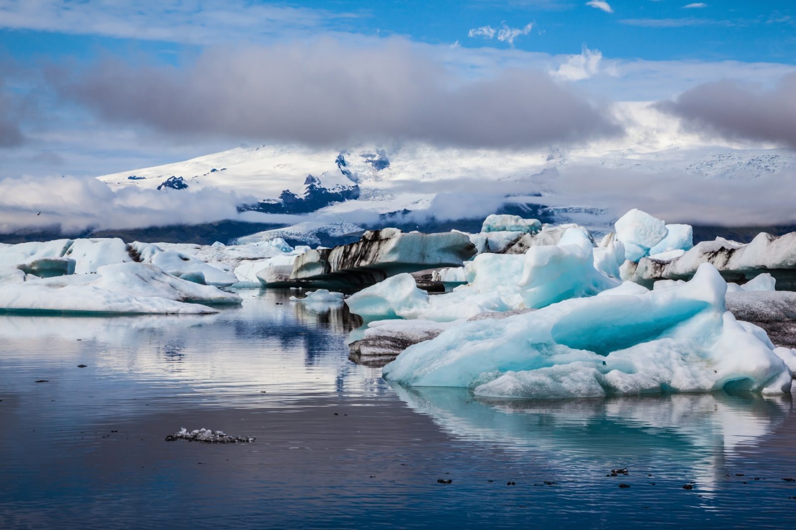Large ice landscape