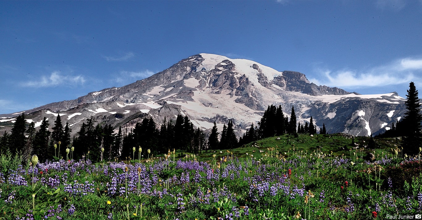 Mt Rainier