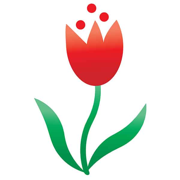 illustration of a red tulip