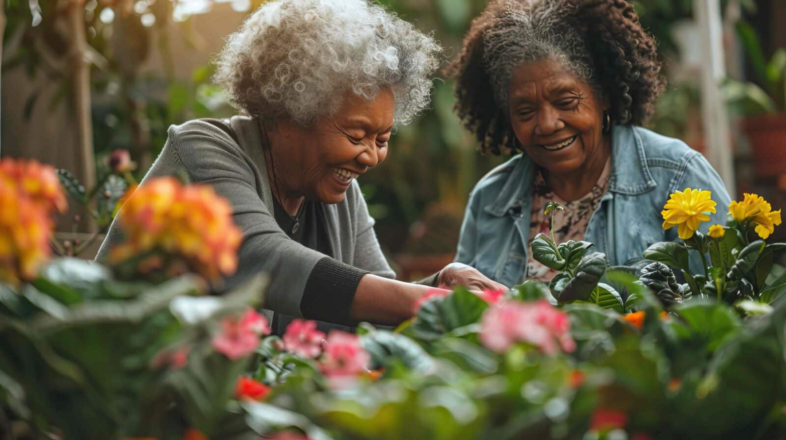 two senior woman gardening
